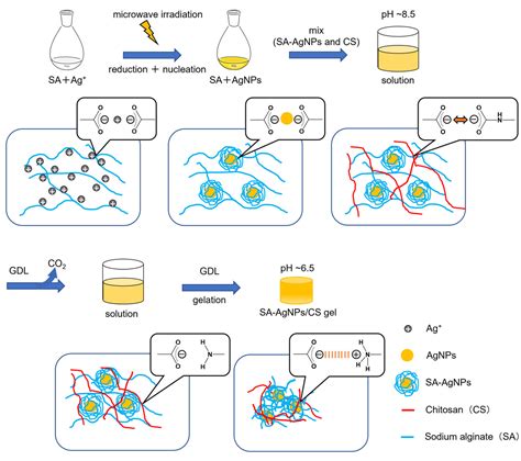  Quaternized Chitosan:  Un Materiale Rivoluzionario per Impianti Biocompatibili e Scaffolds Cellulari!